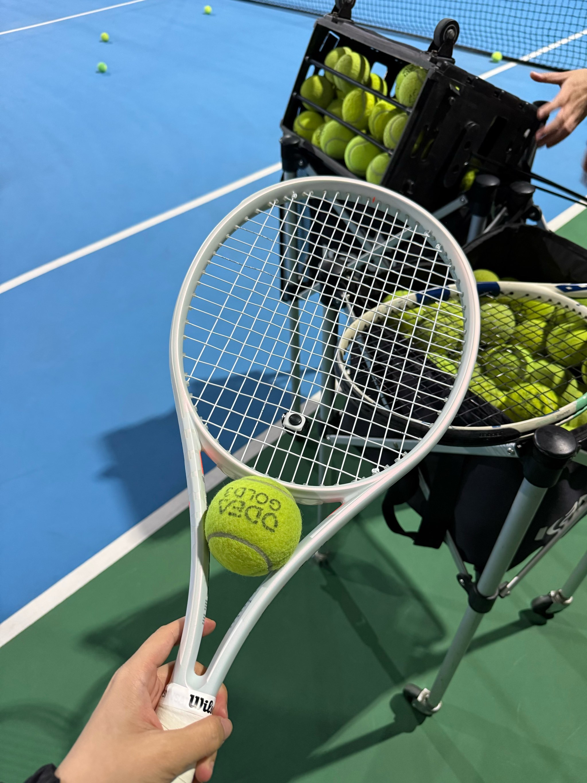 活力的初秋 活力的初秋