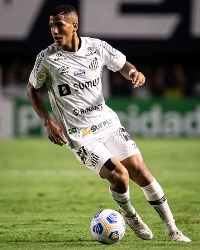 费南多的问 费南多的问