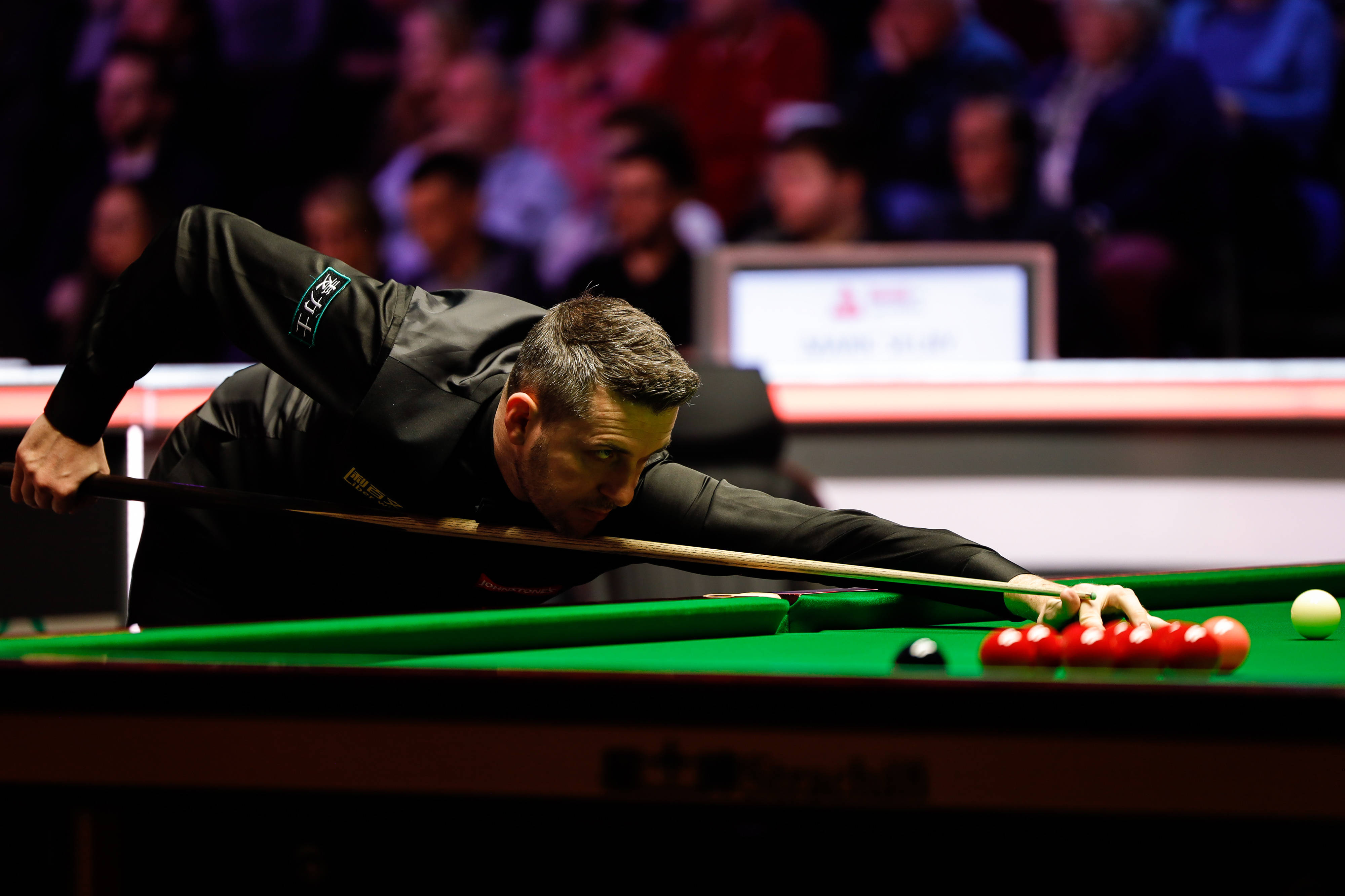 对于所有喜 对于所有喜